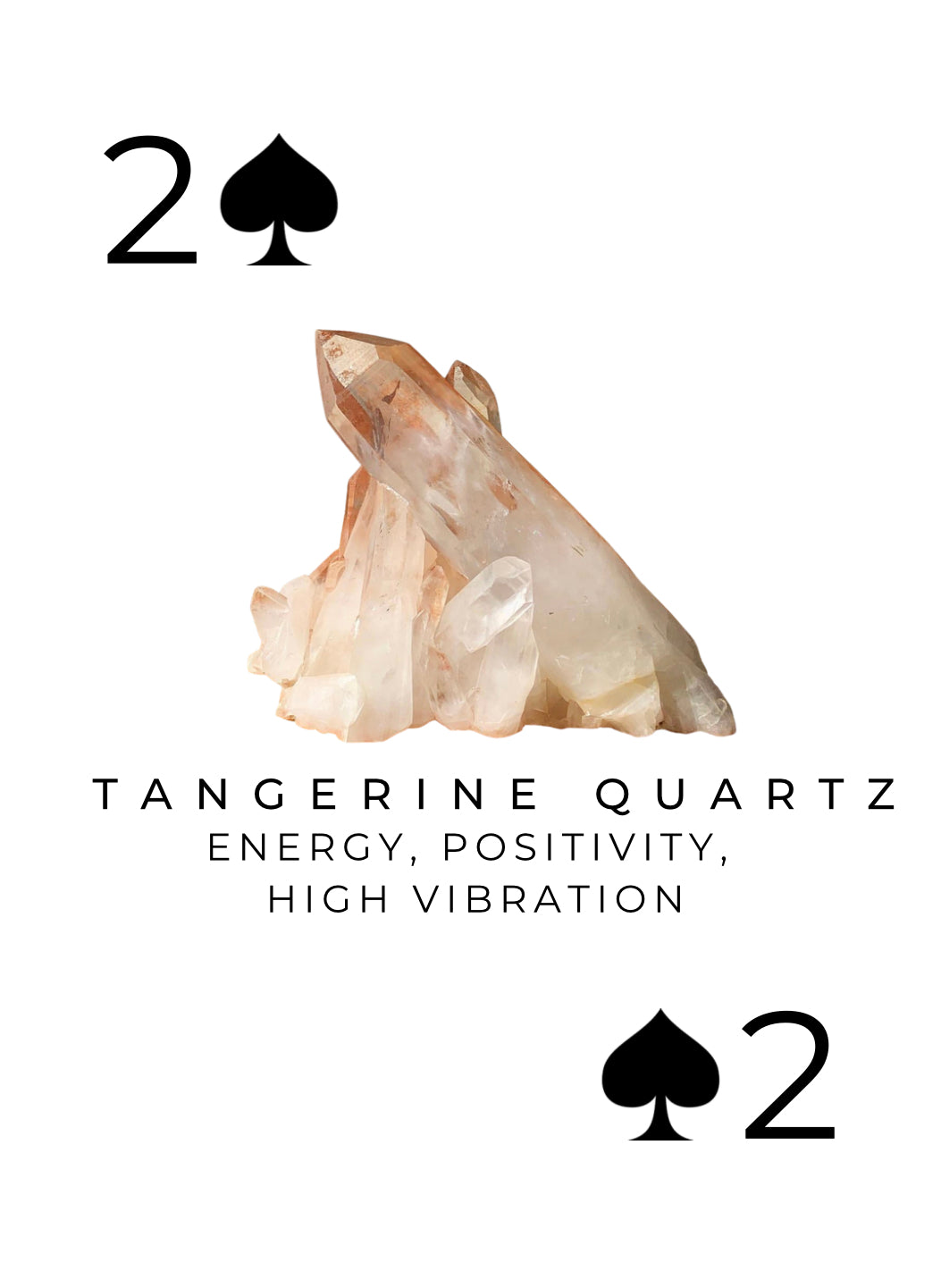 Crystal Harmony ハガキ Hibiki Blossom Harmony 2021 — Dramface